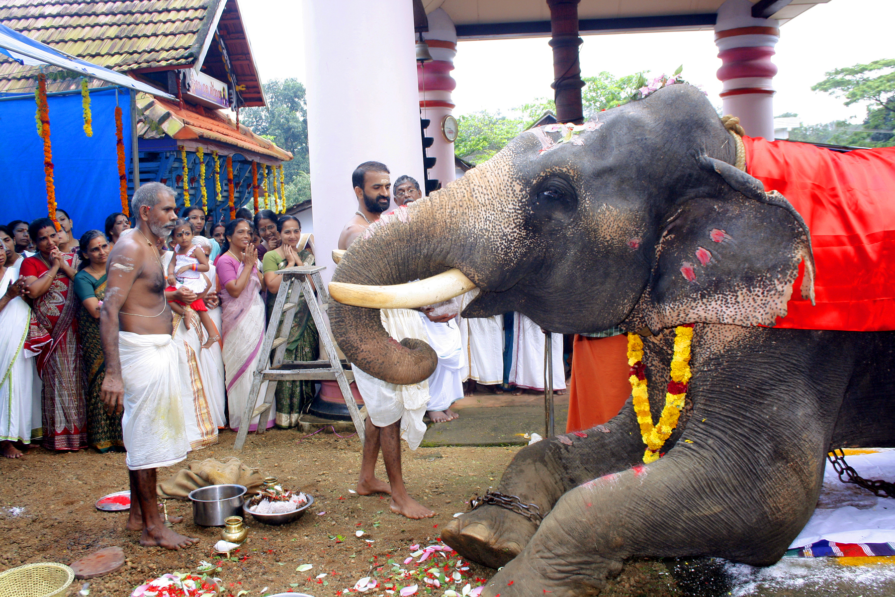 വിനായക ചതുർഥി 